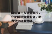 网站第三方流量监控，守护网站流量安全，助力企业精准营销