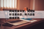 网站流量日报，深度解析流量动态，助力企业精准营销