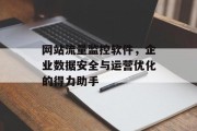 网站流量监控软件，企业数据安全与运营优化的得力助手