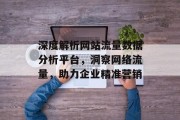 深度解析网站流量数据分析平台，洞察网络流量，助力企业精准营销