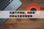 流量打开网站，揭秘高效网站流量获取策略