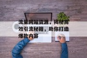 流量网站资源，揭秘高效引流秘籍，助你打造爆款内容