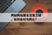 揭秘网站莫名流量之谜，如何应对与转化？