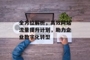 全方位解析，高效网站流量提升计划，助力企业数字化转型