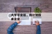 大学毕业后，我计划投身企业
