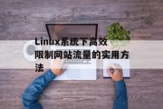 Linux系统下高效限制网站流量的实用方法