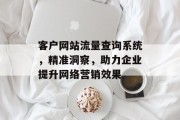 客户网站流量查询系统，精准洞察，助力企业提升网络营销效果