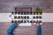 大学毕业后的苦逼生活，挑战与成长，大学毕业后的挑战与成长之旅