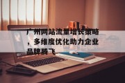 广州网站流量增长策略，多维度优化助力企业品牌腾飞