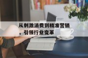 从刺激消费到精准营销，引领行业变革