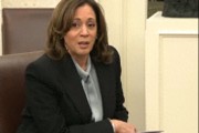 美媒：山火肆虐之际，哈里斯称受灾者“保持耐心至关重要”，被美网友嘲讽