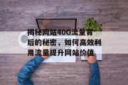 揭秘网站40G流量背后的秘密，如何高效利用流量提升网站价值
