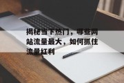 揭秘当下热门，哪些网站流量最大，如何抓住流量红利