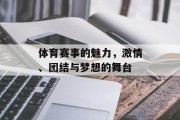 体育赛事的魅力，激情、团结与梦想的舞台