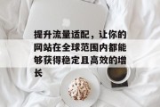 提升流量适配，让你的网站在全球范围内都能够获得稳定且高效的增长