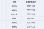 211院校296人(985211是哪些学校)