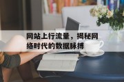 网站上行流量，揭秘网络时代的数据脉搏