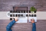 揭秘网站流量采集，掌握流量密码，助力企业腾飞