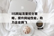IIS网站流量优化策略，提升网站性能，助力企业腾飞