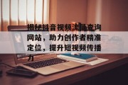 揭秘抖音视频流量查询网站，助力创作者精准定位，提升短视频传播力