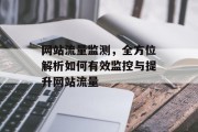 网站流量监测，全方位解析如何有效监控与提升网站流量