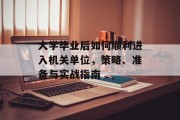 大学毕业后如何顺利进入机关单位，策略、准备与实战指南