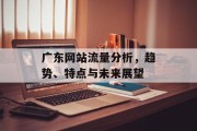 广东网站流量分析，趋势、特点与未来展望