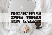 揭秘欧洲国外网站流量查询网站，掌握网络流量趋势，助力企业决策