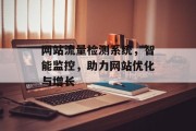 网站流量检测系统，智能监控，助力网站优化与增长