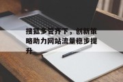 搜狐多管齐下，创新策略助力网站流量稳步提升