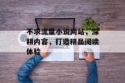 不求流量小说网站，深耕内容，打造精品阅读体验