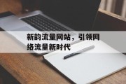 新韵流量网站，引领网络流量新时代