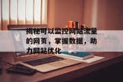 揭秘可以监控网站流量的网页，掌握数据，助力网站优化