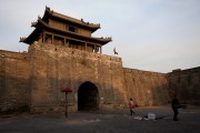 辽宁香菜的市场价格是多少？价格波动受哪些因素影响？