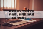 网站流量突然猛增背后的秘密，如何抓住机遇，实现持续增长