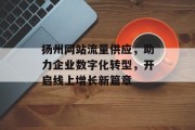 扬州网站流量供应，助力企业数字化转型，开启线上增长新篇章