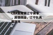 CBA常规赛辽宁赛事，激情四溢，辽宁队再展雄风
