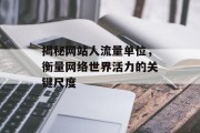 揭秘网站人流量单位，衡量网络世界活力的关键尺度