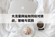 大流量网站如何应对挑战，策略与实践
