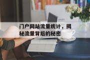 门户网站流量统计，揭秘流量背后的秘密