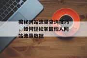 揭秘网站流量查询技巧，如何轻松掌握他人网站流量数据