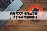 揭秘真实统计网站流量，技术手段与策略解析