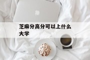 芝麻分高分可以上什么大学