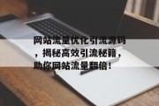 网站流量优化引流源码，揭秘高效引流秘籍，助你网站流量翻倍！