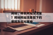 揭秘，哪些网站没流量？揭秘网站流量低下的原因及应对策略