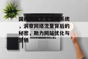 国内网站流量查询系统，洞察网络流量背后的秘密，助力网站优化与营销