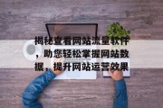 揭秘查看网站流量软件，助您轻松掌握网站数据，提升网站运营效果
