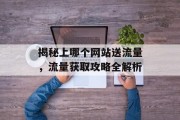 揭秘上哪个网站送流量，流量获取攻略全解析