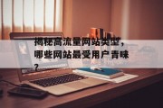 揭秘高流量网站类型，哪些网站最受用户青睐？
