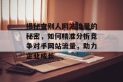 揭秘查别人网站流量的秘密，如何精准分析竞争对手网站流量，助力企业成长